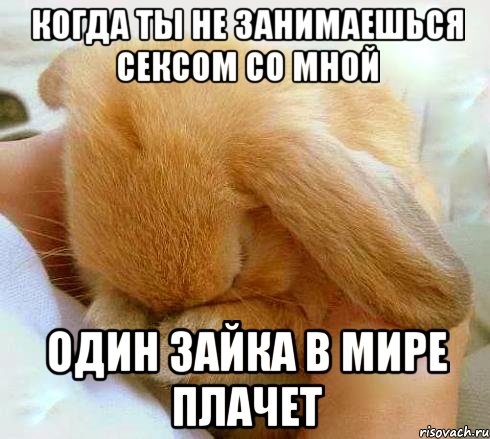 Когда ты не занимаешься сексом со мной один зайка в мире плачет