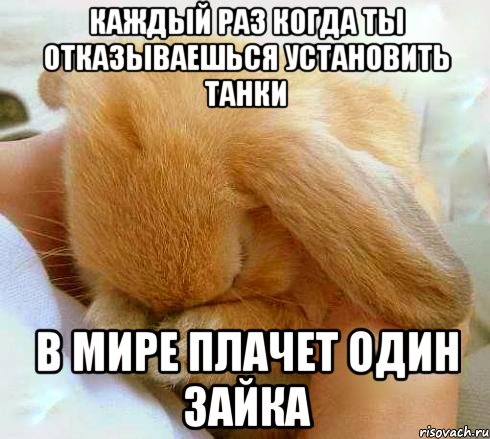 Каждый раз когда ты отказываешься установить танки в мире плачет один зайка