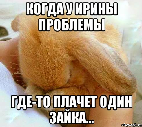 Когда у Ирины проблемы Где-то плачет один зайка...