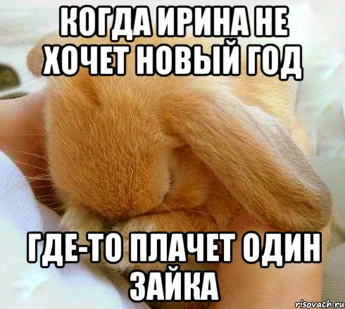 Когда Ирина не хочет Новый год Где-то плачет один зайка