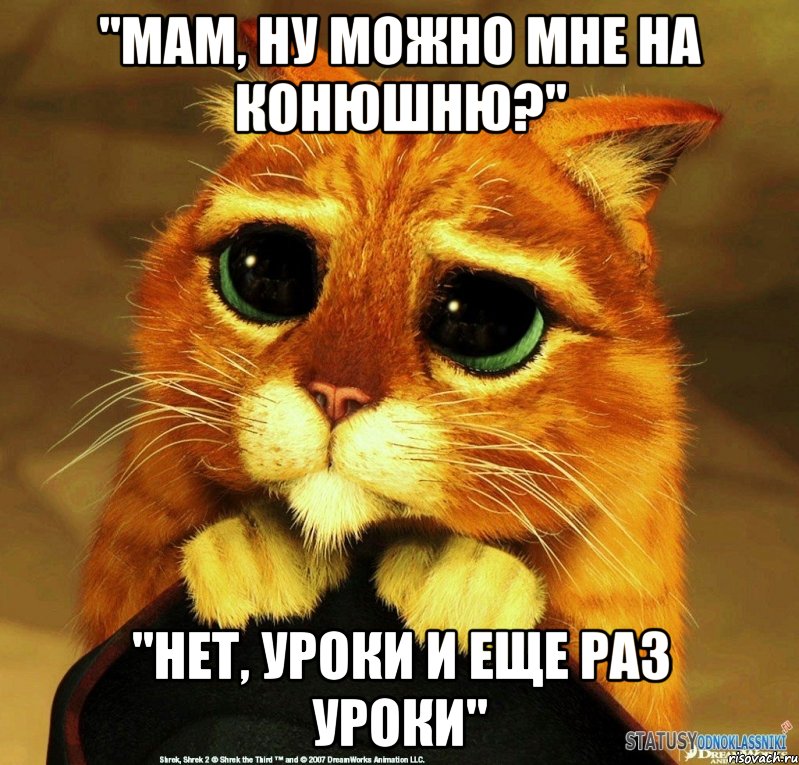 "Мам, ну можно мне на конюшню?" "Нет, УРОКИ И ЕЩЕ РАЗ УРОКИ", Мем Котик из Шрека