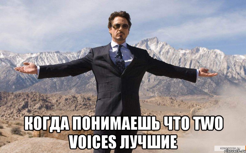  когда понимаешь что Two Voices лучшие, Мем железный человек