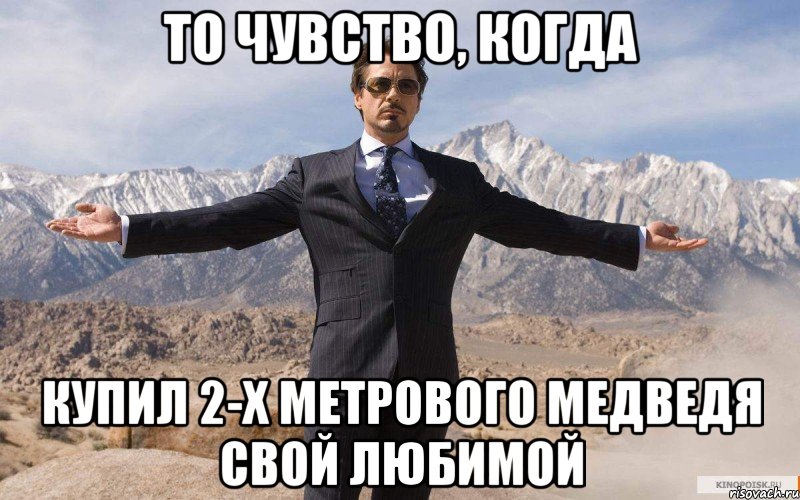 То чувство, когда Купил 2-х метрового медведя свой любимой, Мем железный человек