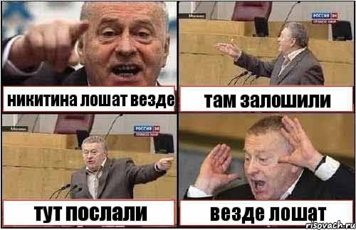 никитина лошат везде там залошили тут послали везде лошат, Комикс жиреновский