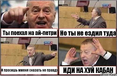 Ты поехал на ай-петри Но ты не ездил туда И просишь мменя сказать не правду ИДИ НА ХУЙ КАБАН, Комикс жиреновский