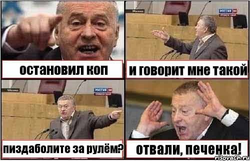 остановил коп и говорит мне такой пиздаболите за рулём? отвали, печенка!, Комикс жиреновский