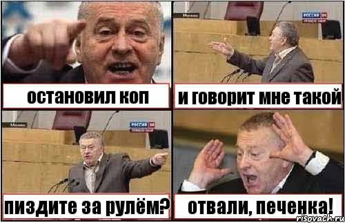 остановил коп и говорит мне такой пиздите за рулём? отвали, печенка!, Комикс жиреновский