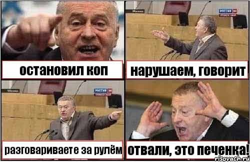 остановил коп нарушаем, говорит разговариваете за рулём отвали, это печенка!, Комикс жиреновский