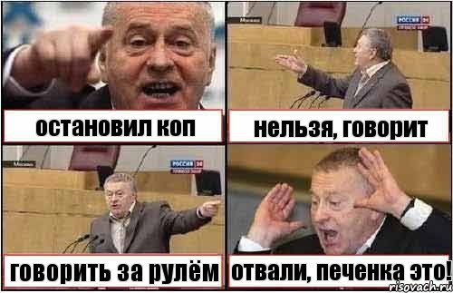 остановил коп нельзя, говорит говорить за рулём отвали, печенка это!, Комикс жиреновский