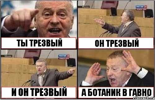 ТЫ ТРЕЗВЫЙ ОН ТРЕЗВЫЙ И ОН ТРЕЗВЫЙ А БОТАНИК В ГАВНО, Комикс жиреновский