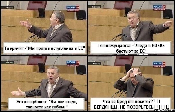 Та кричит -"Мы против вступления в ЕС" Те возмущается -"Люди в КИЕВЕ бастуют за ЕС" Эта оскорбляет -"Вы все стадо, тявкаете как собаки" Что за бред вы несёте???!!! БЕРДЯНЦЫ, НЕ ПОЗОРЬТЕСЬ!!!!!!!!!, Комикс Жирик в шоке хватается за голову