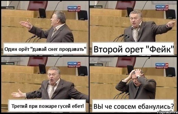 Один орёт "давай снег продавать" Второй орет "Фейк" Третий при пожаре гусей ебет! ВЫ че совсем ебанулись?, Комикс Жирик в шоке хватается за голову