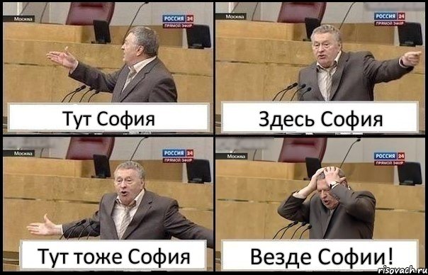 Тут София Здесь София Тут тоже София Везде Софии!, Комикс Жирик в шоке хватается за голову