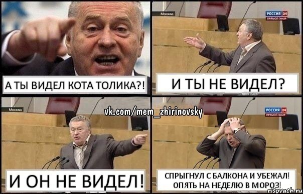 А ты видел кота Толика?! И ты не видел? И он не видел! Спрыгнул с балкона и убежал! Опять на неделю в мороз!, Комикс Жирик