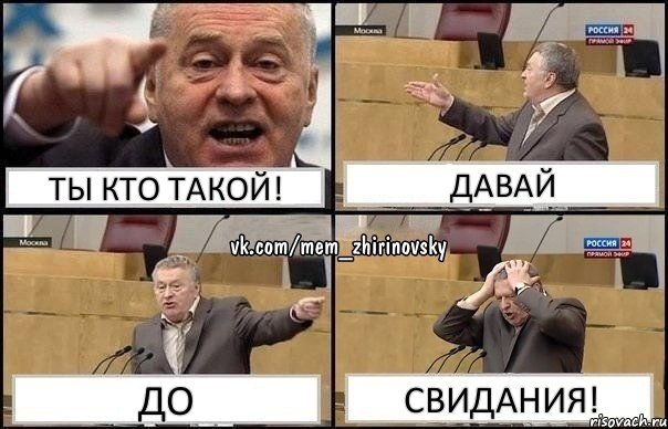 Ты кто такой! Давай До Свидания!, Комикс Жирик