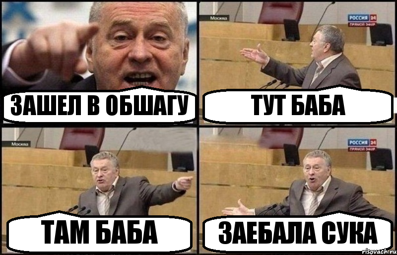 ЗАШЕЛ В ОБШАГУ ТУТ БАБА ТАМ БАБА ЗАЕБАЛА СУКА, Комикс Жириновский