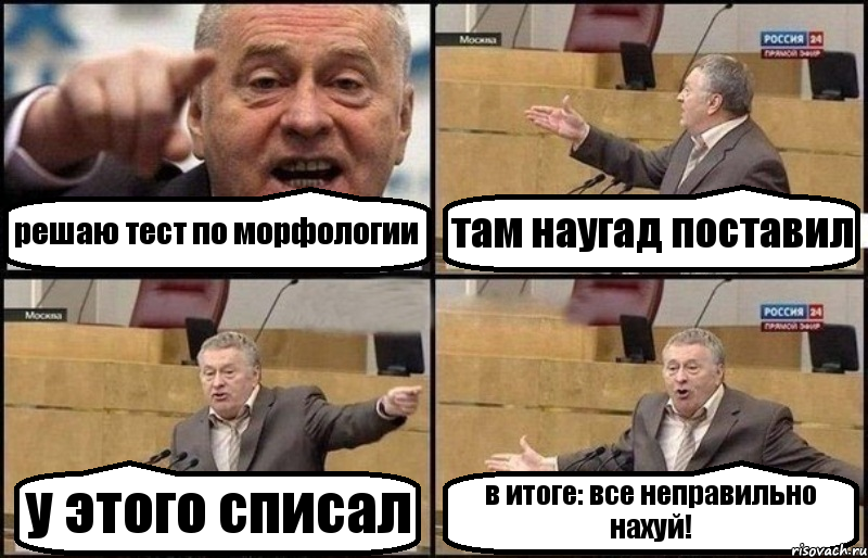 решаю тест по морфологии там наугад поставил у этого списал в итоге: все неправильно нахуй!, Комикс Жириновский