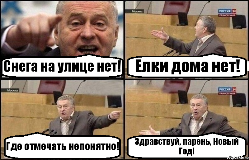 Снега на улице нет! Елки дома нет! Где отмечать непонятно! Здравствуй, парень, Новый Год!, Комикс Жириновский
