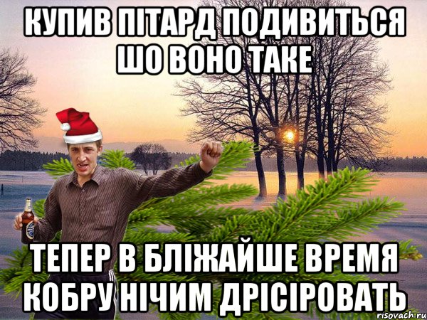 купив пітард подивиться шо воно таке тепер в бліжайше время кобру нічим дрісіровать