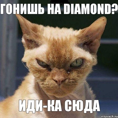 Гонишь на Diamond? Иди-ка сюда, Комикс  злой кот