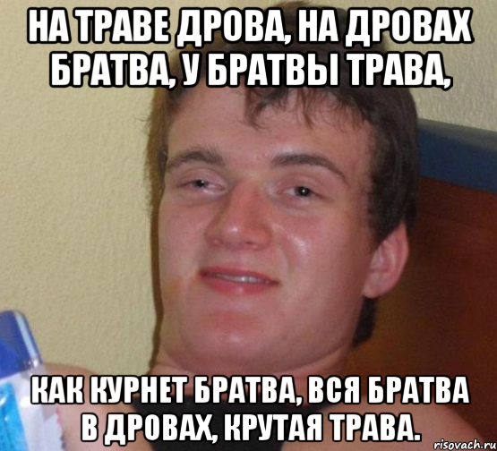 На траве дрова, на дровах братва, у братвы трава, как курнет братва, вся братва в дровах, крутая трава., Мем 10 guy (Stoner Stanley really high guy укуренный парень)