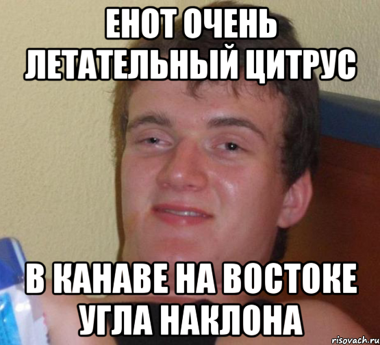 енот очень летательный цитрус в канаве на востоке угла наклона, Мем 10 guy (Stoner Stanley really high guy укуренный парень)