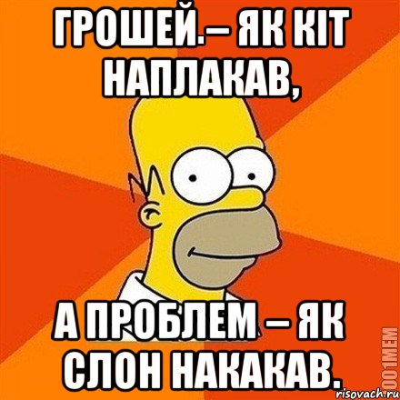 Грошей – як кіт наплакав, а проблем – як слон накакав., Мем Гомер adv