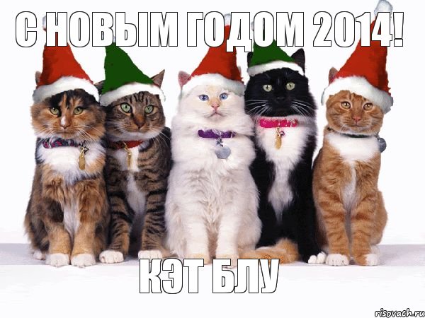 С Новым годом 2014! кэт блу, Комикс Новогодние коты