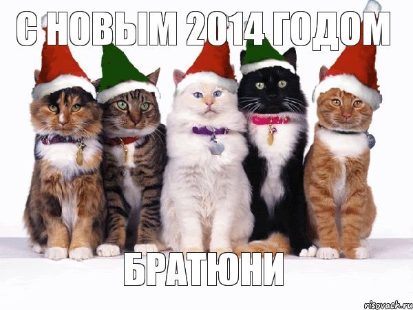 С НОВЫМ 2014 ГОДОМ БРАТЮНИ, Комикс Новогодние коты
