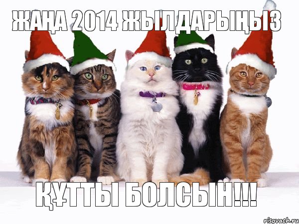 ЖАҢА 2014 ЖЫЛДАРЫҢЫЗ ҚҰТТЫ БОЛСЫН!!!, Комикс Новогодние коты