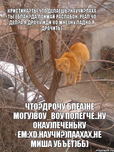 Кристина?ты что делаешь?научи?паха ты еблан?да поймай раслабон..Реал чо дел?а я дрочу)иди ко мне))ну ладно я дрочить) что?Дрочу блеа)не могу)воу_воу полегче..ну окау)печеньку ем:Xd.Научи?)паахах,не Миша убъёт)Бб), Комикс 1