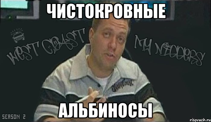 чистокровные альбиносы