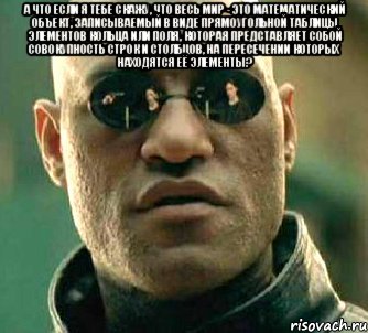 А что если я тебе скажу, что весь мир - это математический объект, записываемый в виде прямоугольной таблицы элементов кольца или поля, которая представляет собой совокупность строк и столбцов, на пересечении которых находятся её элементы? , Мем  а что если я скажу тебе