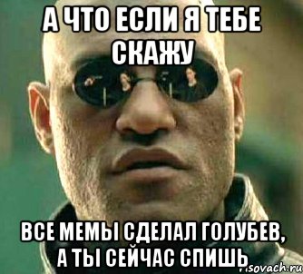 А что если я тебе скажу Все мемы сделал Голубев, а ты сейчас спишь, Мем  а что если я скажу тебе