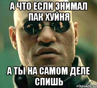 А что если Энимал пак хуйня а ты на самом деле спишь, Мем  а что если я скажу тебе