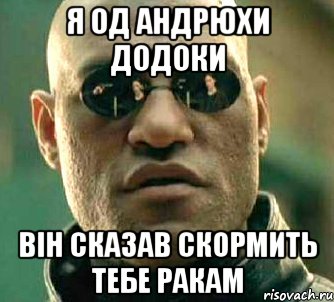 Я ОД АНДРЮХИ ДОДОКИ ВІН СКАЗАВ СКОРМИТЬ ТЕБЕ РАКАМ, Мем  а что если я скажу тебе