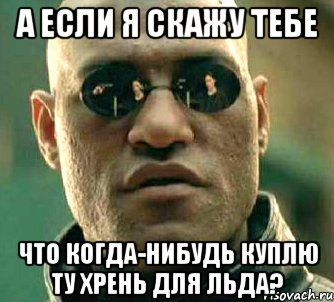 А если я скажу тебе Что когда-нибудь куплю ту хрень для льда?, Мем  а что если я скажу тебе