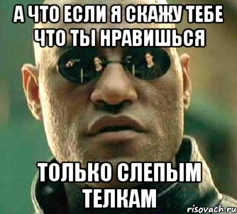 а что если я скажу тебе что ты нравишься только слепым телкам, Мем  а что если я скажу тебе