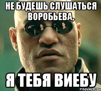 НЕ БУДЕШЬ СЛУШАТЬСЯ ВОРОБЬЕВА, Я ТЕБЯ ВИЕБУ, Мем  а что если я скажу тебе