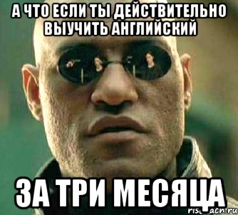 А что если ты действительно выучить английский за три месяца, Мем  а что если я скажу тебе