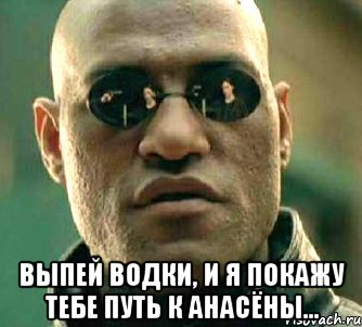  Выпей водки, и я покажу тебе путь к анасёны..., Мем  а что если я скажу тебе