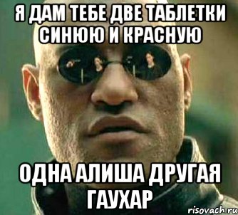 я дам тебе две таблетки синюю и красную одна алиша другая гаухар, Мем  а что если я скажу тебе