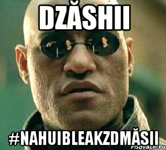 Dzăshii #nahuibleakzdmăsii, Мем  а что если я скажу тебе