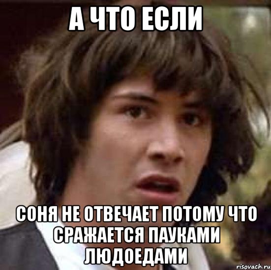 а что если соня не отвечает потому что сражается пауками людоедами, Мем А что если (Киану Ривз)