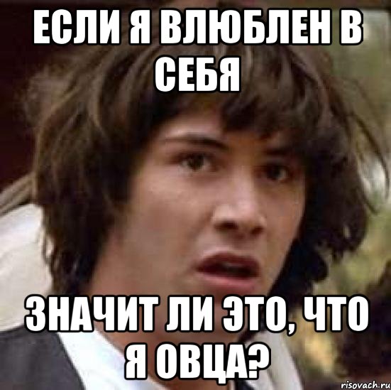 ЕСЛИ Я ВЛЮБЛЕН В СЕБЯ ЗНАЧИТ ЛИ ЭТО, ЧТО Я ОВЦА?, Мем А что если (Киану Ривз)