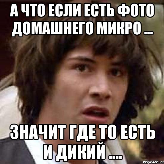 а что если есть фото домашнего микро ... значит где то есть и дикий ...., Мем А что если (Киану Ривз)