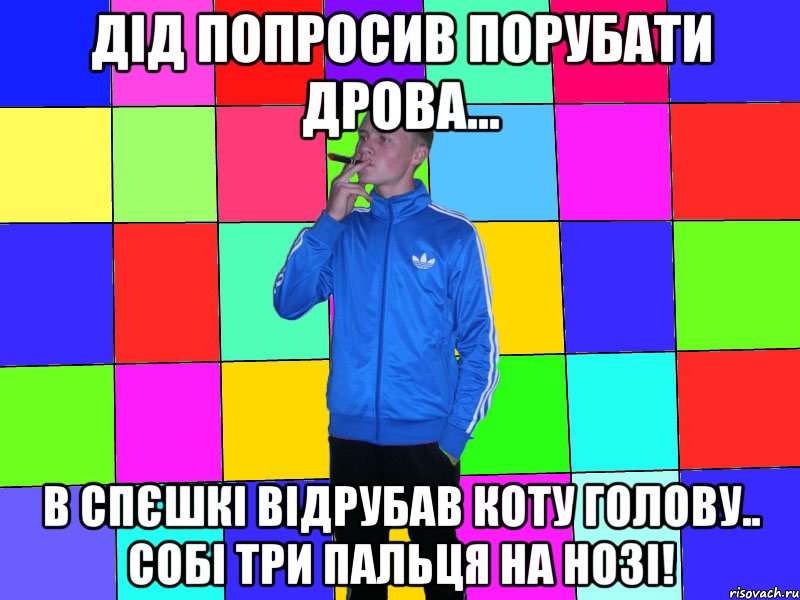 Дід попросив порубати дрова... В спєшкі відрубав коту голову.. собі три пальця на нозі!