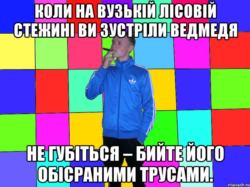 Коли на вузькій лісовій стежині ви зустріли ведмедя не губіться – бийте його обісраними трусами.
