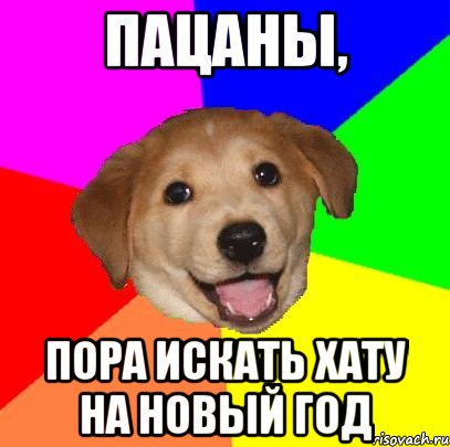 ПАЦАНЫ, ПОРА ИСКАТЬ ХАТУ НА НОВЫЙ ГОД, Мем Advice Dog