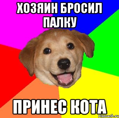 хозяин бросил палку принес кота, Мем Advice Dog